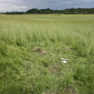 normal_080711vufrahgaaktivnews_0013.jpg