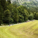 _MG_2137.jpg