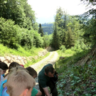 CIMG6283_jpg-1310133812