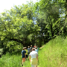 CIMG6289_jpg-1310133847