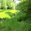 CIMG6293_jpg-1310133868