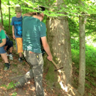 CIMG6294_jpg-1310133872