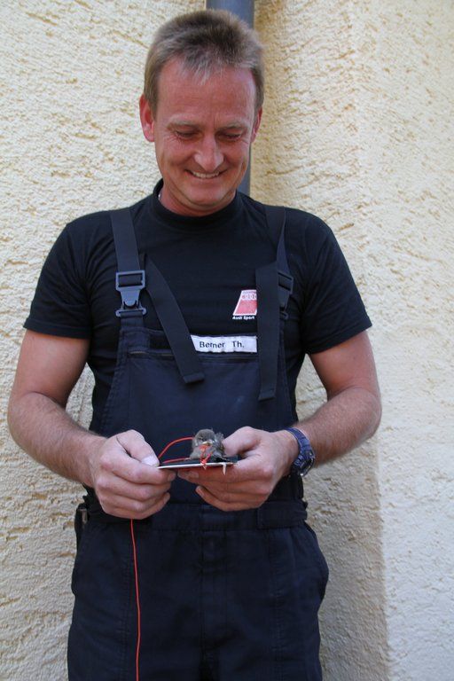 08072011fmt_tierrettungfm_07.jpg