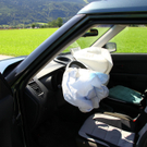 08082011fmt_vukuchl_mw_8.jpg