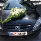 DSC00979.JPG