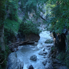 DSC06349.JPG