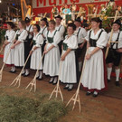 8_7_2011 musikfes schoppernau84_jpg-1310208713