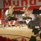 8_7_2011 musikfes schoppernau100.jpg