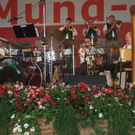 8_7_2011 musikfes schoppernau3.jpg