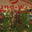 8_7_2011 musikfes schoppernau4.jpg