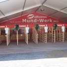8_7_2011 musikfes schoppernau6.jpg