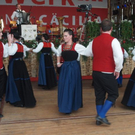 8_7_2011 musikfes schoppernau70.jpg