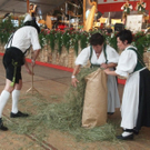 8_7_2011 musikfes schoppernau85.jpg
