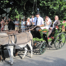IMG_9187_JPG-1310235194