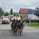 IMG_9195_JPG-1310235824