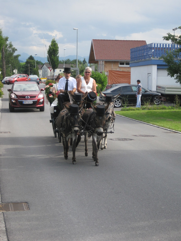 IMG_9195_JPG-1310235824