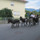 IMG_9197_JPG-1310235905