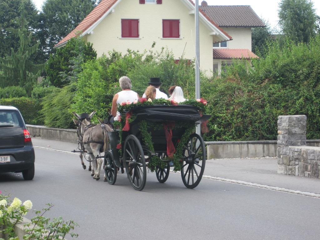 IMG_9199_JPG-1310234437