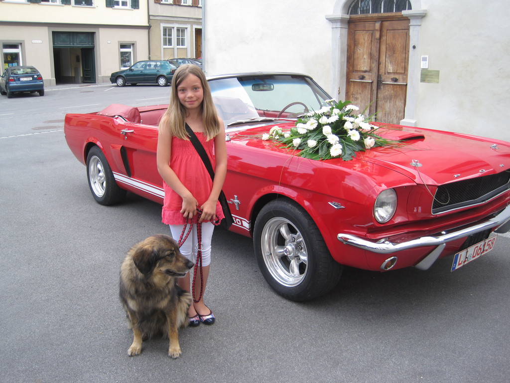 IMG_9132_JPG-1310237035