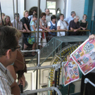 IMG_8562 _Large__JPG-1310281803