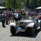 IMG_6541_jpg-1310287462