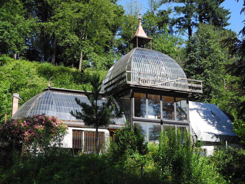 DSCN0120_JPG-1310297380