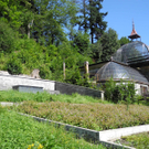 DSCN0122_JPG-1310297394