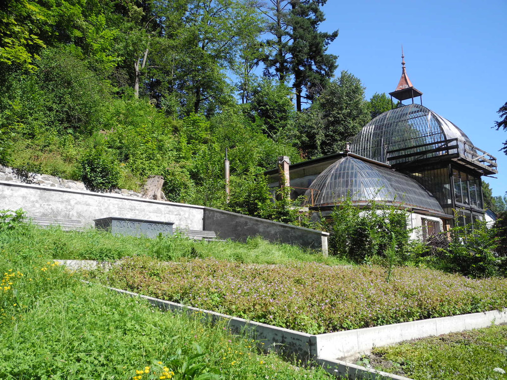 DSCN0122_JPG-1310297394