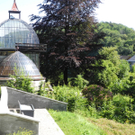 DSCN0125_JPG-1310297440