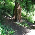 DSCN0126_JPG-1310297453