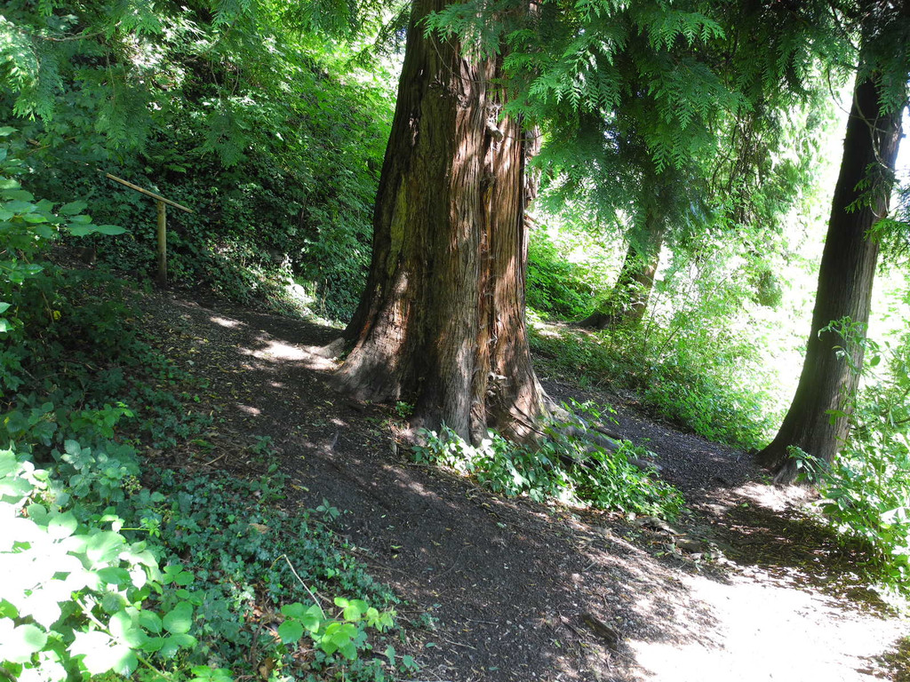 DSCN0126_JPG-1310297453