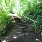 DSCN0127_JPG-1310297467