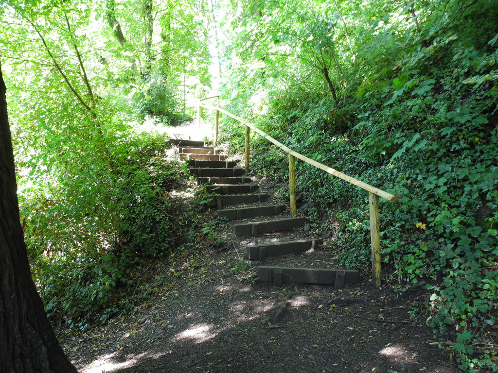 DSCN0127_JPG-1310297467