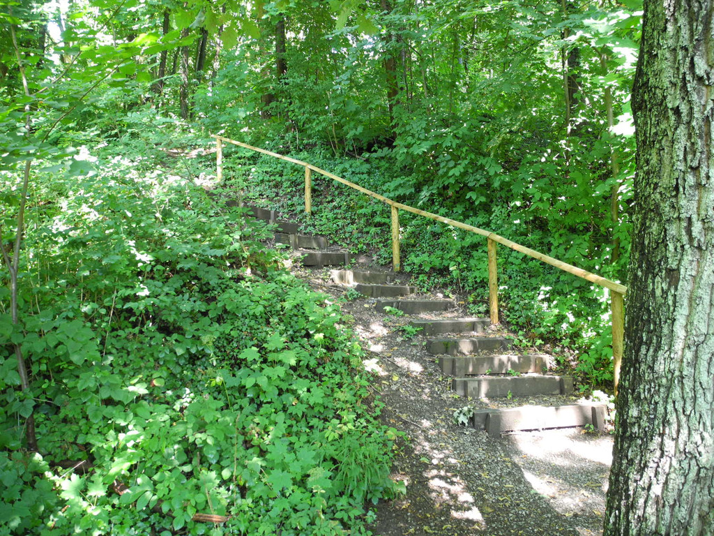 DSCN0128_JPG-1310297480