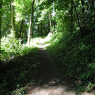 DSCN0129_JPG-1310297492