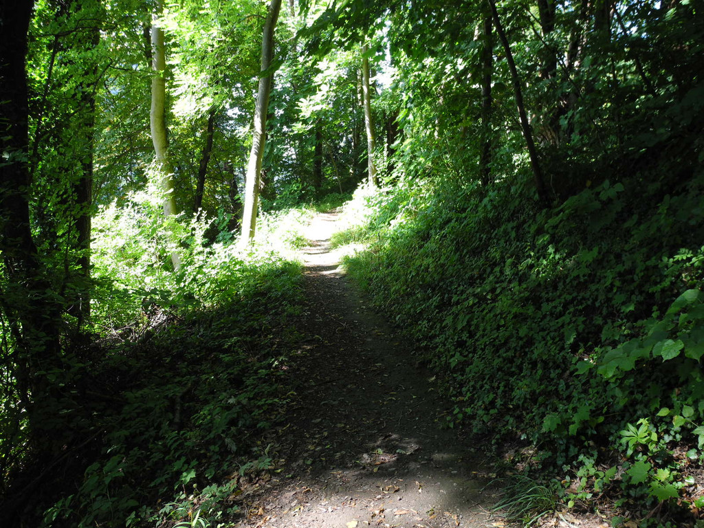 DSCN0129_JPG-1310297492