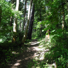 DSCN0130_JPG-1310297506