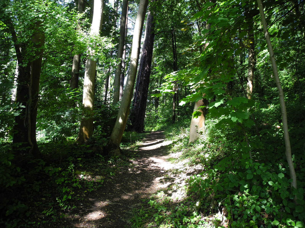 DSCN0130_JPG-1310297506