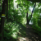 DSCN0131_JPG-1310297519