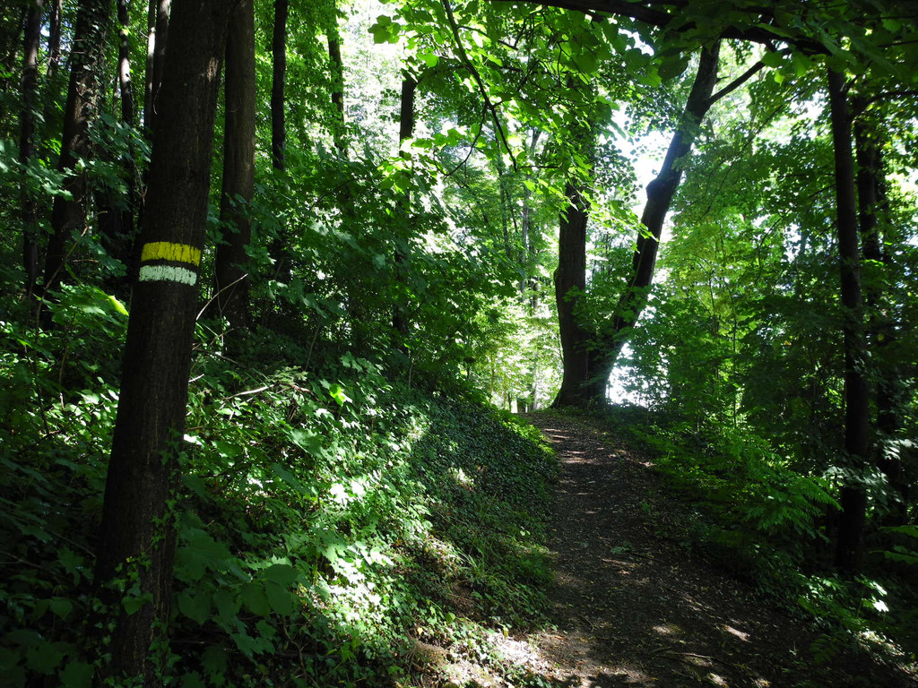 DSCN0131_JPG-1310297519