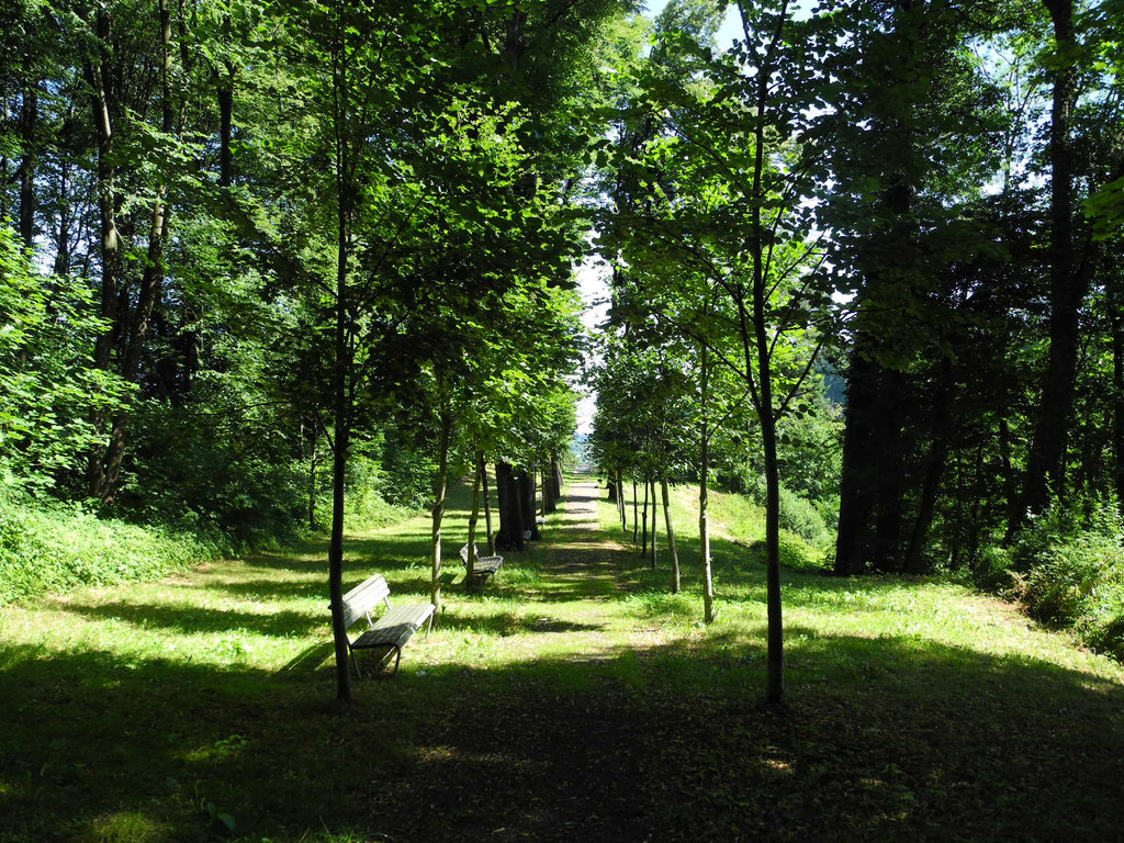 DSCN0132_JPG-1310297532