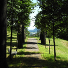 DSCN0134_JPG-1310297558