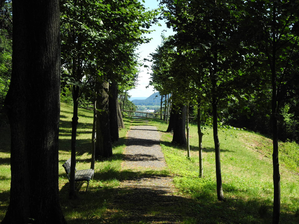 DSCN0134_JPG-1310297558