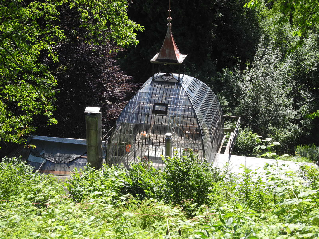 DSCN0135_JPG-1310297571