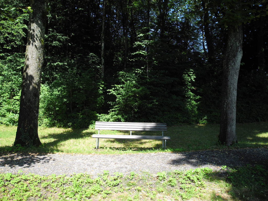 DSCN0138_JPG-1310297595