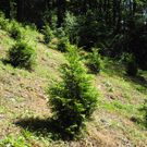 DSCN0155_JPG-1310297757