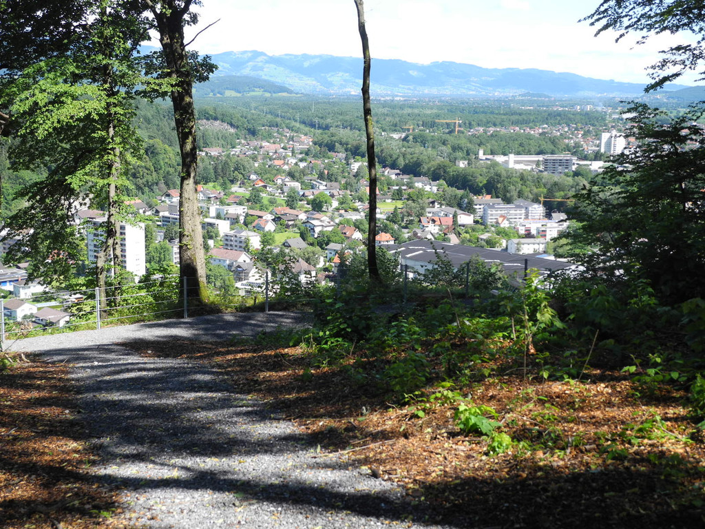 DSCN0154_JPG-1310297738