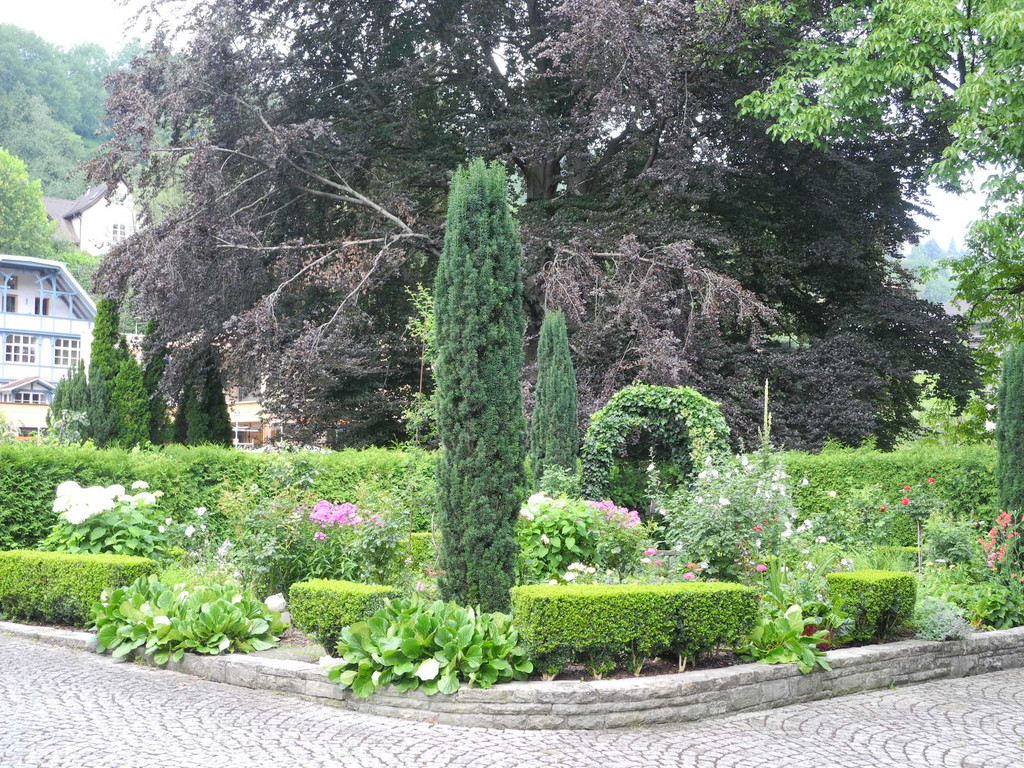 DSCN0043_JPG-1310298894