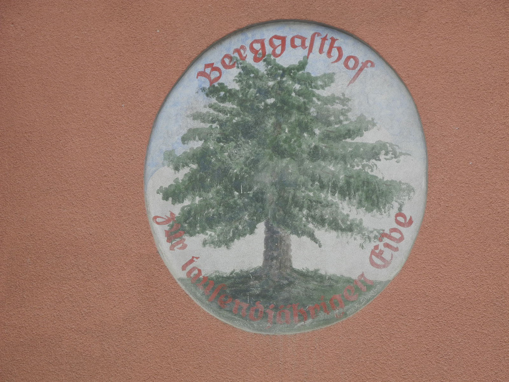 DSCN9774_JPG-1310299863