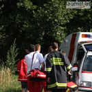 11313_zdhK1Mq7Wx.jpg